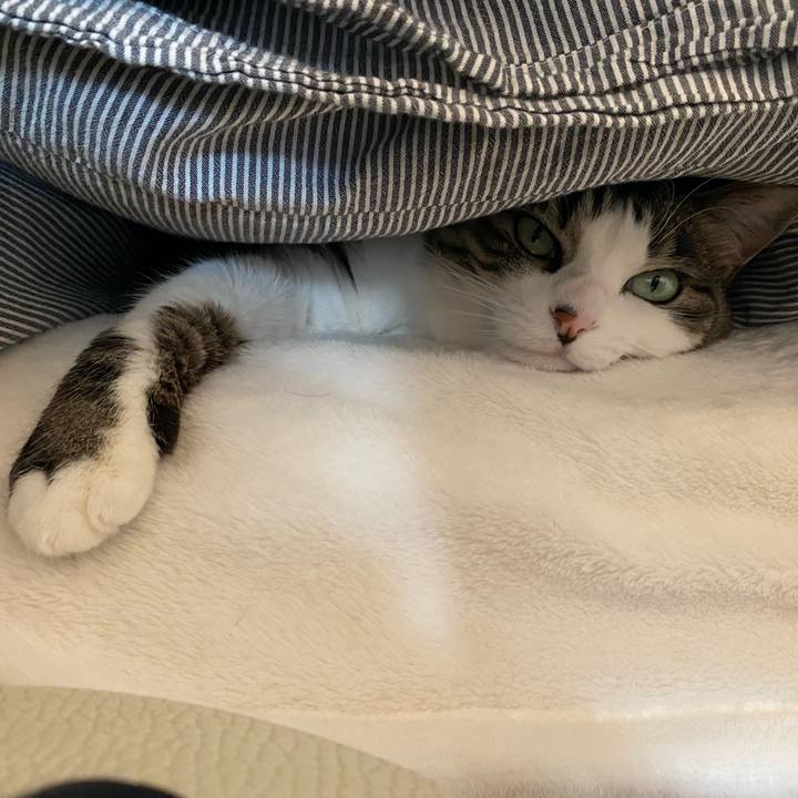 427f718f 0d3d 4016 96bc b077a6324aa2 1644664220354