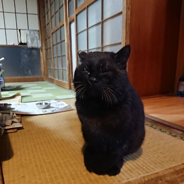 427f8d54 890f 48d7 9321 2ac0ef25d3fd 1616064772935