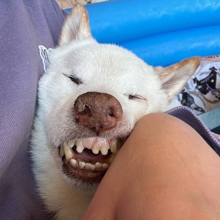 427fee87 dfb9 40a0 8db9 c54eff7912d9 1703653630361