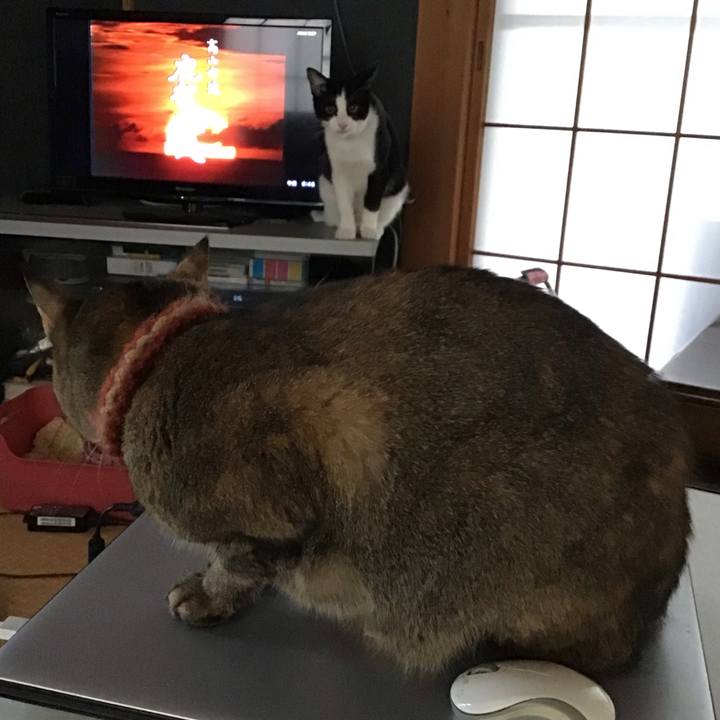 427ff49f 11ea 4f73 8769 e07bd1196fe9 1633816310968