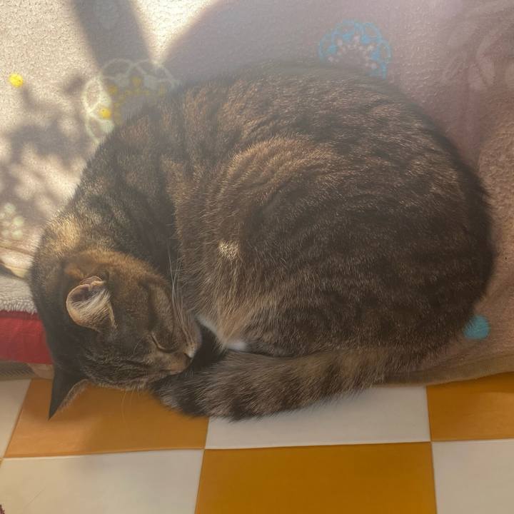 42802c53 dcb8 4a9c ac6e 4a51dc893cfd 1738985206812