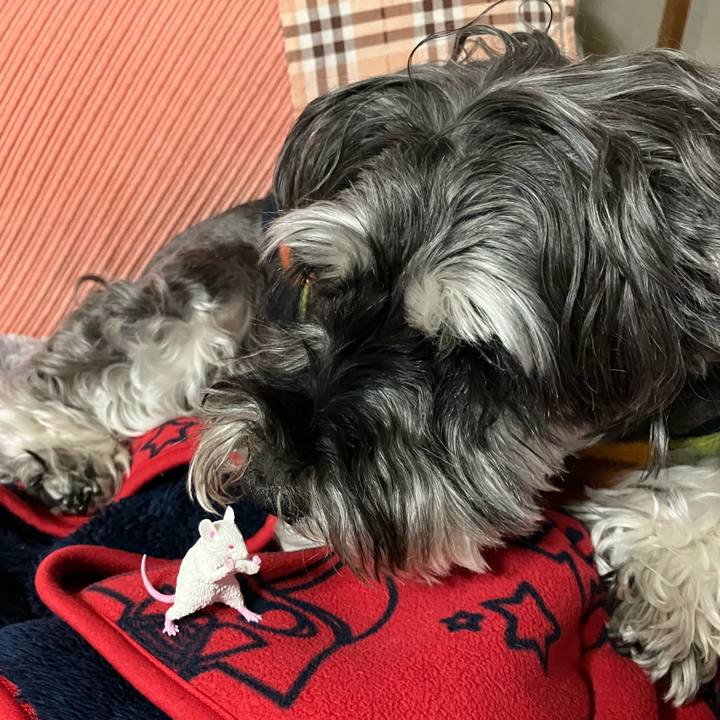 42804759 f11b 4430 8a99 447c27341601 1715139763267