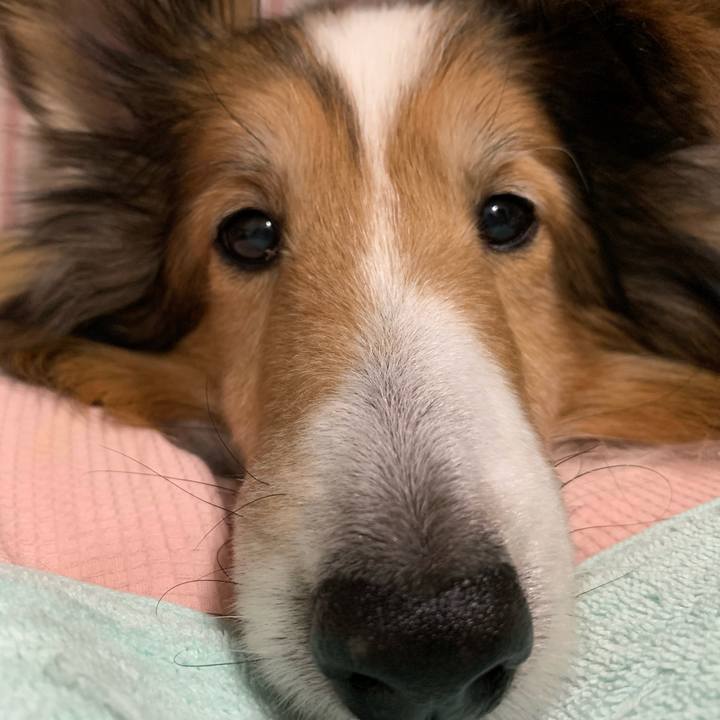 42804d2f 1cad 4ca9 8032 4035a158bb11 1570000001032