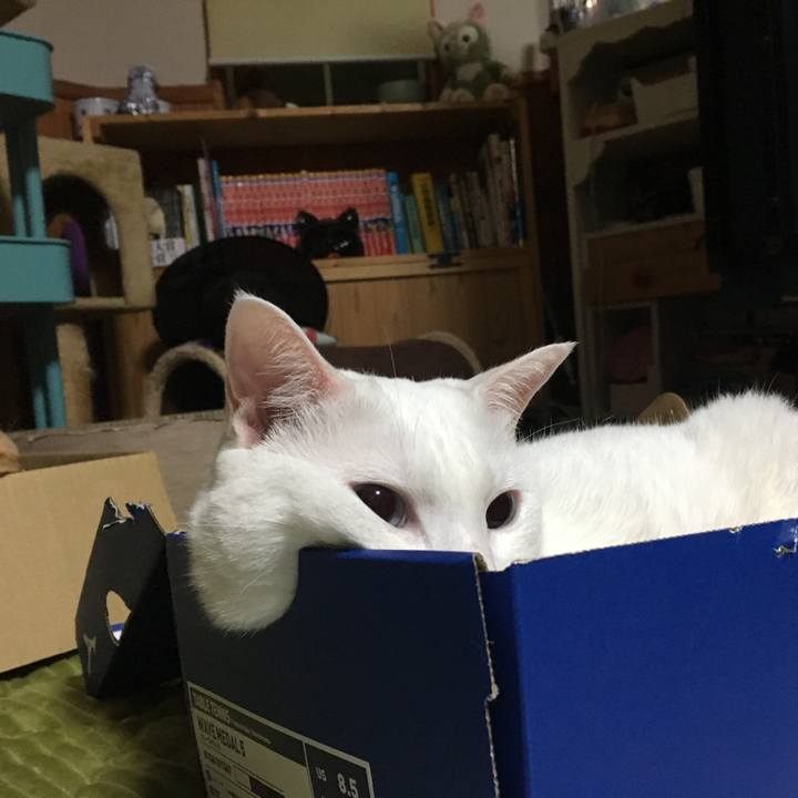 42806eb5 5450 4ace 9c38 f12048a7b6c3 1540308936100