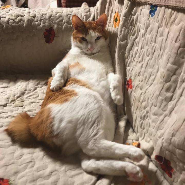 428077f1 8600 4c7e 9ec5 0777edc459be 1587298338330