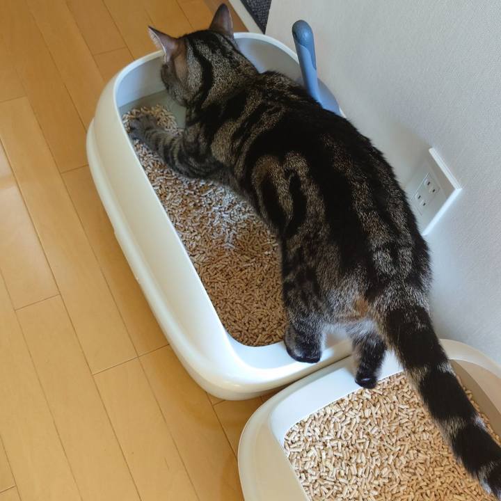 42807bf6 2c8d 40a2 a54a 18c6d22fae51 1635128786833