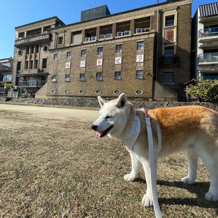 42808c80 fdd4 4864 bade 6b5e2168807f 1670645771068