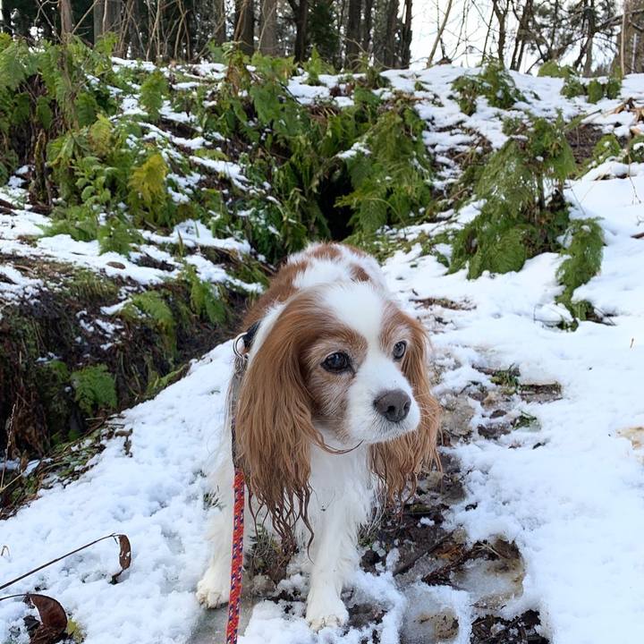 42809748 293c 48e0 9786 0183bc8535b8 1580796148417