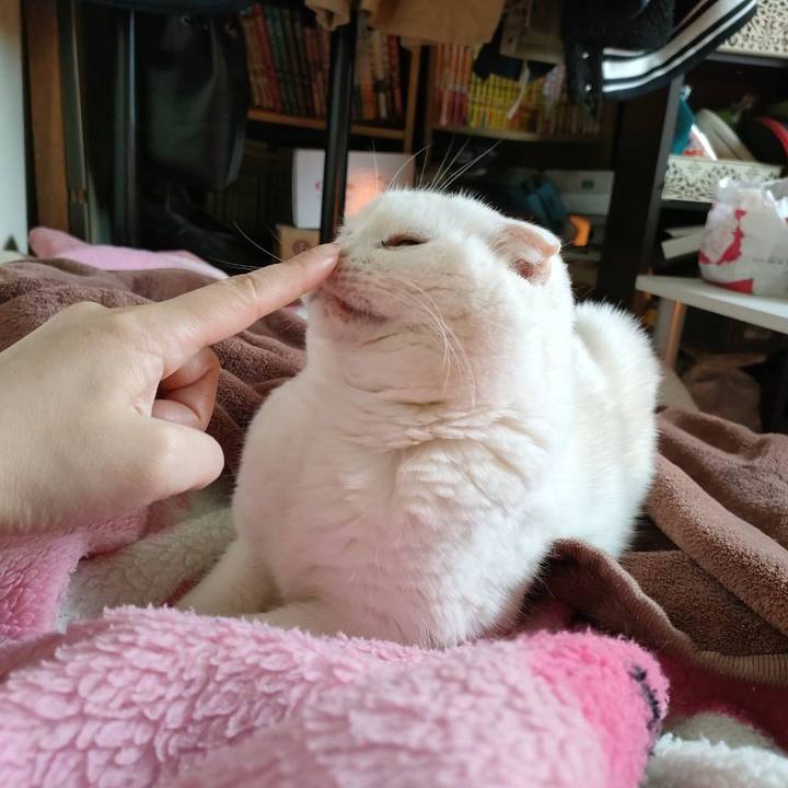 4280a60d c9bd 4243 8de2 8f58adfe9117 1742621823201