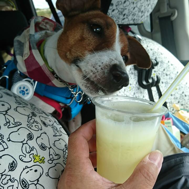 4280bb30 81d5 4a1f 9099 f6a1399e6105 1567402760711