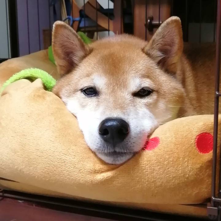 4280c695 4db7 47ad b395 ca80c5a92196 1669987905693