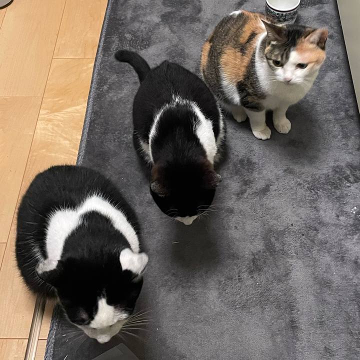 4280e045 57cd 4626 bbf0 e956b46bf43d 1716043542994