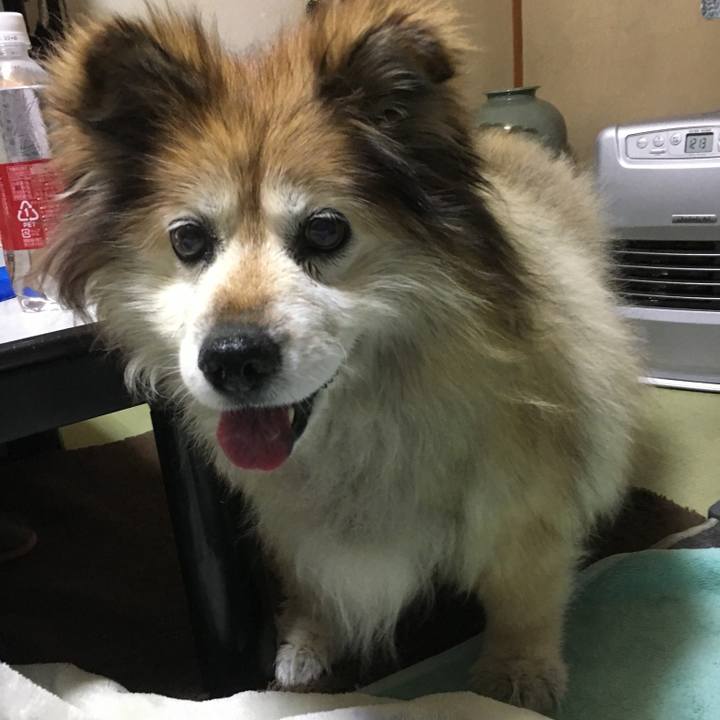 42810562 866c 4a56 8f9a 2975eb11dd5d 1586109050031