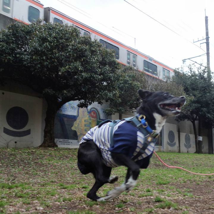 4281077b c120 41e5 a178 2bde45ced00c 1709773907289