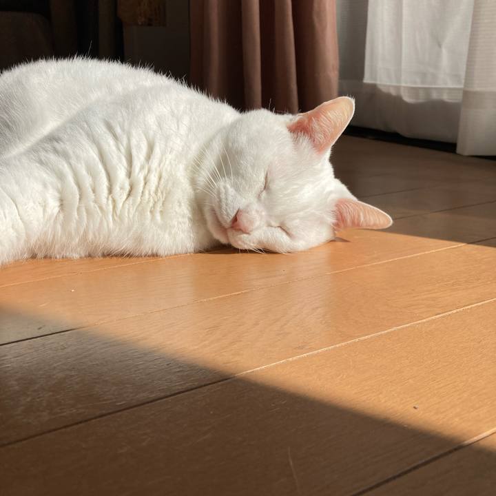 4281087a 743d 47d3 8dbe 7c810bd293c5 1771655079344