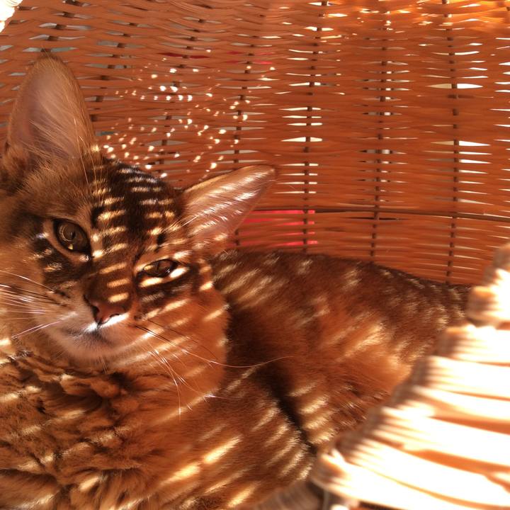 42810de3 17d3 4d6c 9c74 4d403e680270 1580968788854