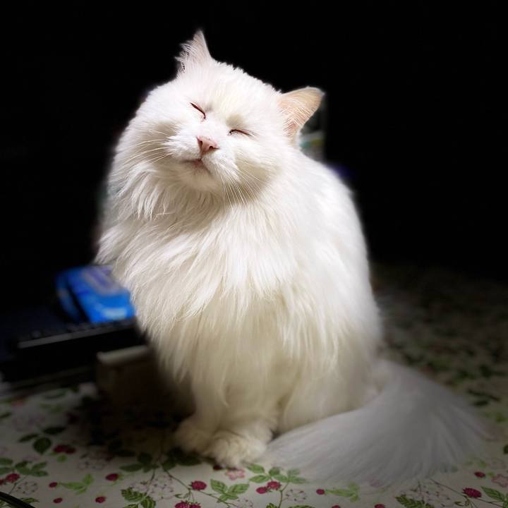 428125cb f71e 4ba8 befa 53ae7cccce0d 1609598235936