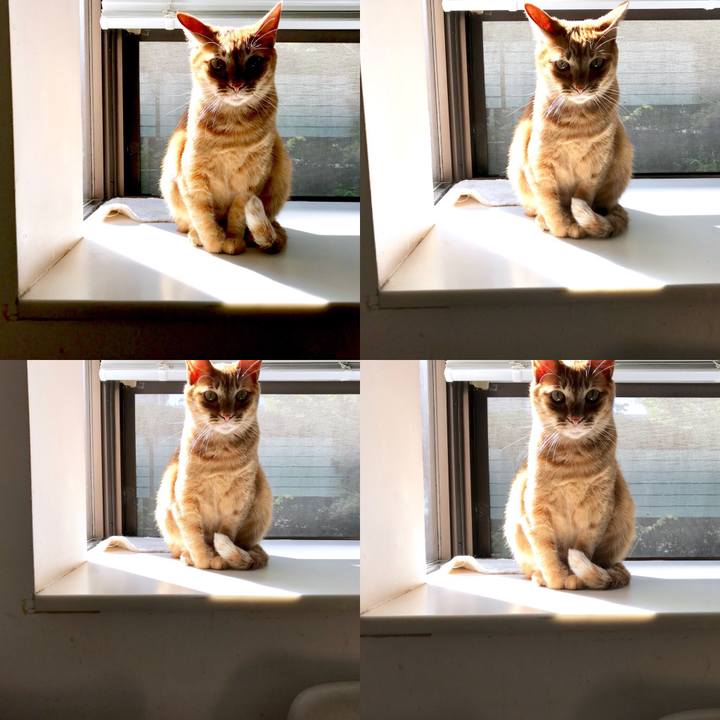 42814d11 e91f 4e30 9341 8bf7b809f814 1538283195580