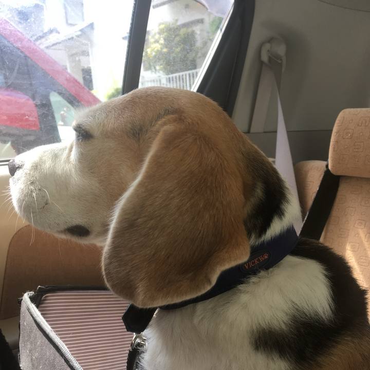 42817d82 8280 4ba1 835b 4d4462cfac98 1745540040553