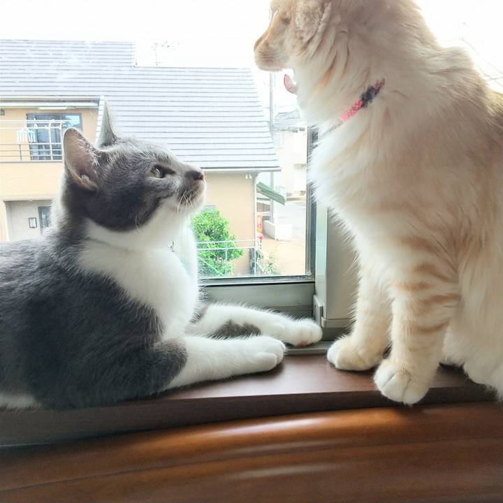 4281c92b f2b4 4504 ab2e fcc3b220645c 1621730064660