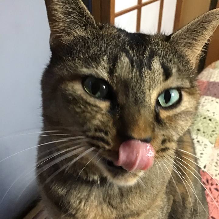 4281f476 9a61 42d6 8ef5 12d410181c7c 1759657460747