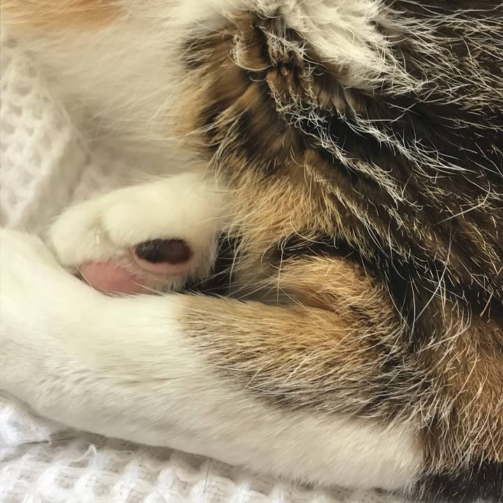 4281f9b0 ea8d 43e5 bb0a fef2e74cfc83 1588471513986