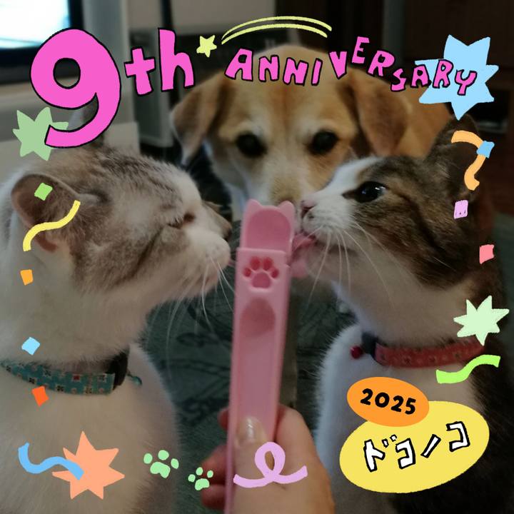 42823755 1bd4 4404 ac36 4b4f50518869 1749421076863