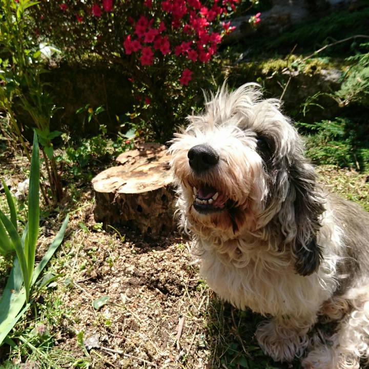 428246a6 6c1e 4904 a2e6 7a61d7e1cb6d 1525486701667