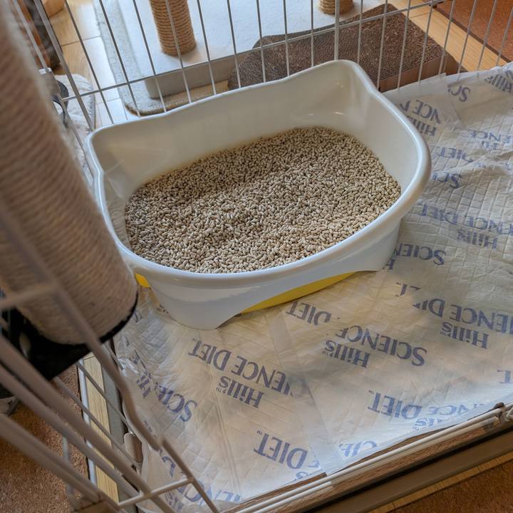 42825034 8129 43b2 849c 62e36976e9b2 1700280511530