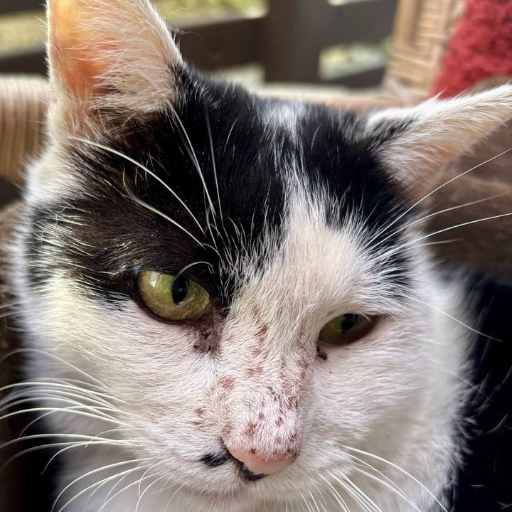 428257d5 71ee 44fb bd38 6035645abb99 1762579052243