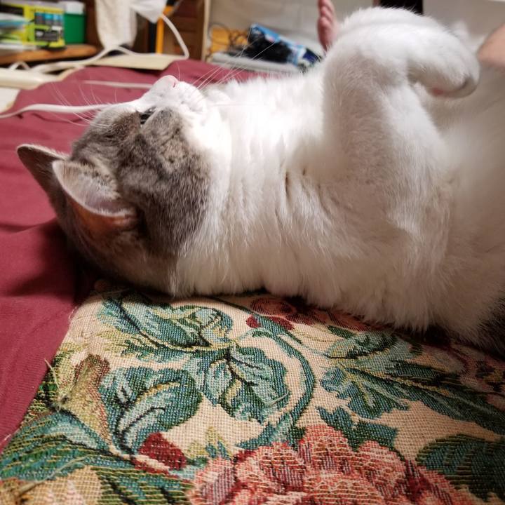 42827b52 6da4 45cd ac30 240daf704041 1537281525196