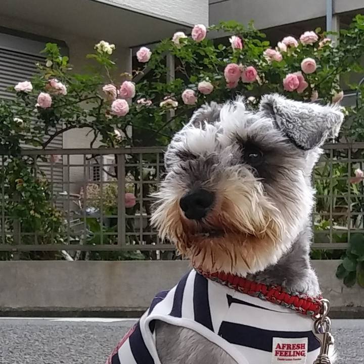 4282964d 0f20 4fe0 921b 13593c0fd540 1589584949944