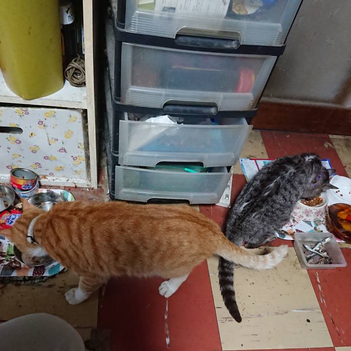 42829f6c 7069 4e2c 962d db1c64ef0cf7 1593422391336