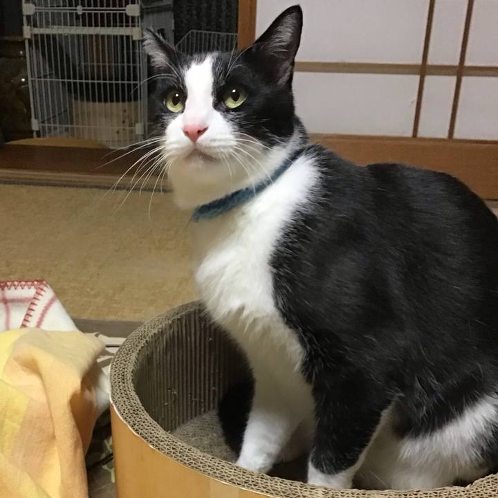 4282d663 90a0 4245 86f8 ba40e0fa16b1 1762592663185