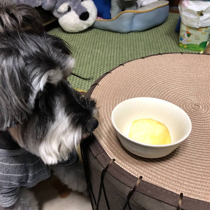 4282fc35 73bb 40ca bd4b dc364dcc064c 1545219765151