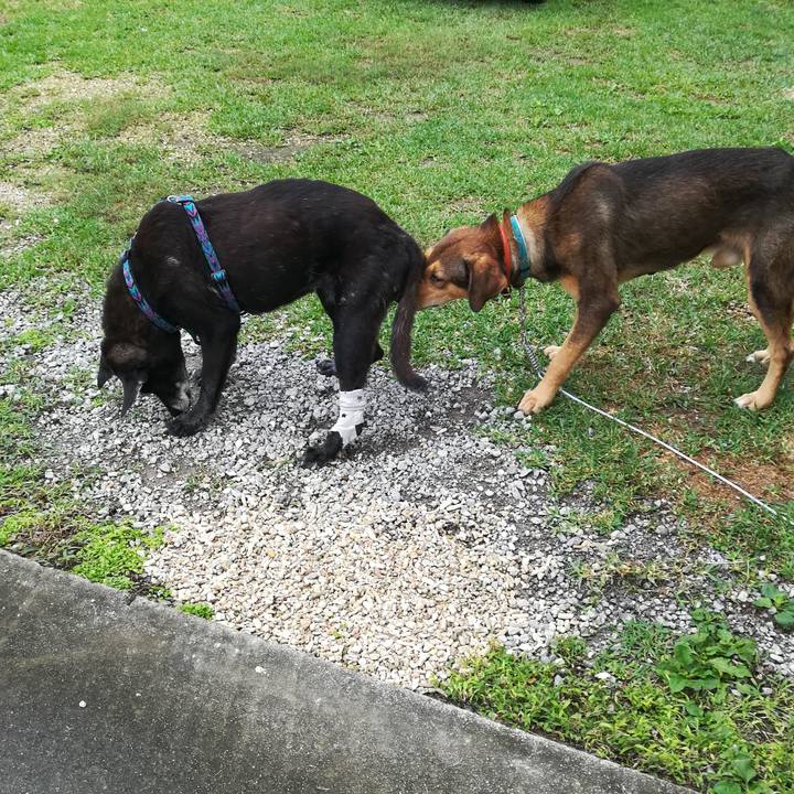 4282fc88 d74e 4504 8349 1d1a51d5ed62 1511841863228