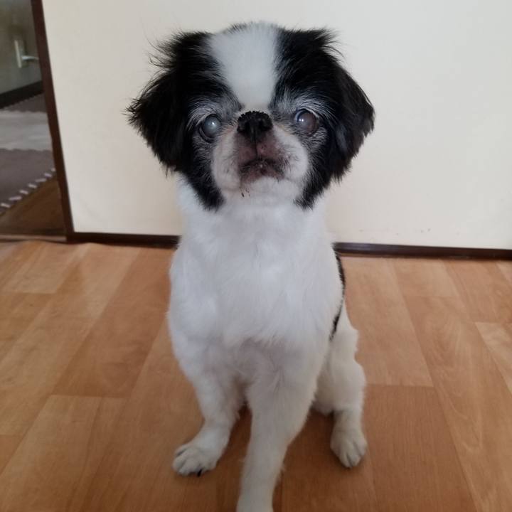 42830404 f004 4df1 bdc4 6726ea0288e5 1601110832475