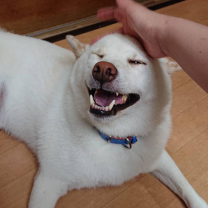 42830420 60a3 43e0 9a74 072c7686e138 1565964001134