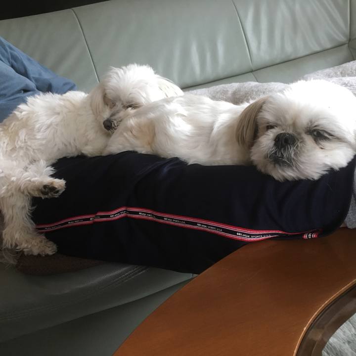 42830c34 2232 4b9e b0a9 fce971b2a464 1523686898915