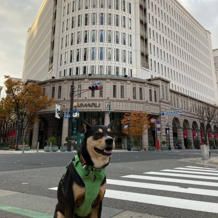 42832464 1c27 4844 9d90 72cee0ed53bb 1607823011607