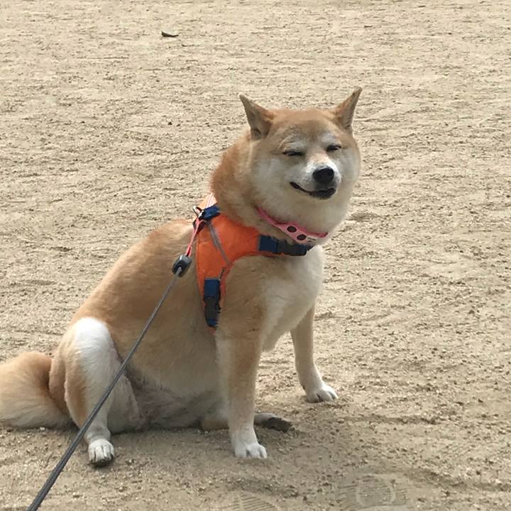 42835a1f 228a 48de b7b7 729f2a42bb3c 1527569275647