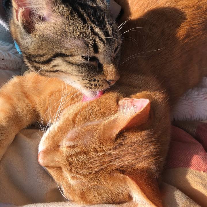 4283a341 9e0d 4c27 bd65 ca606384bde3 1740788980245