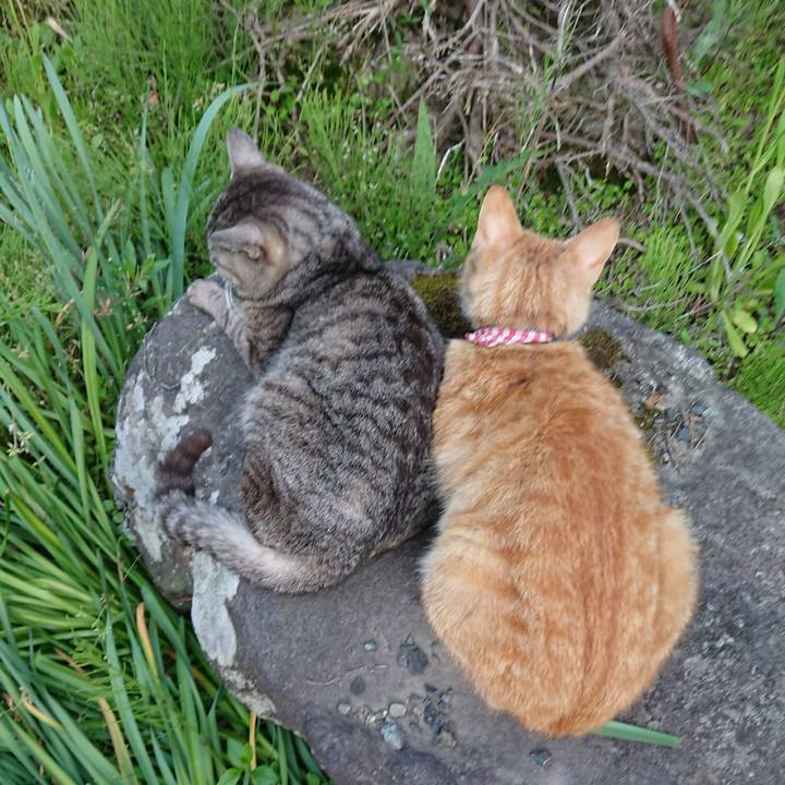 4283b3f3 abda 4304 98c1 6a148cedaa78 1559212457807