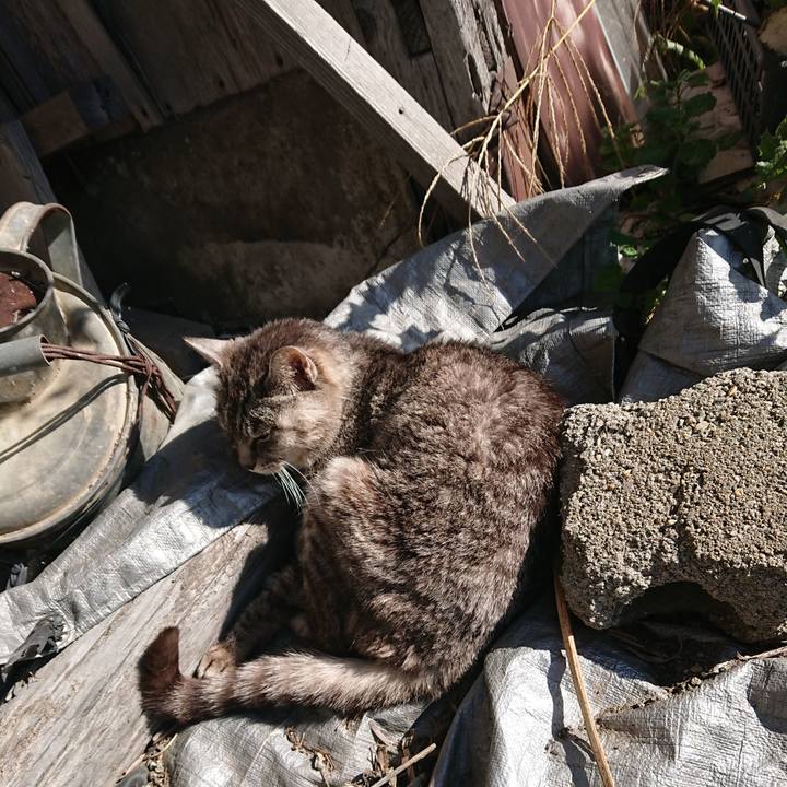 4283cbc3 ce30 480b a118 d2862c0362e0 1572828915018