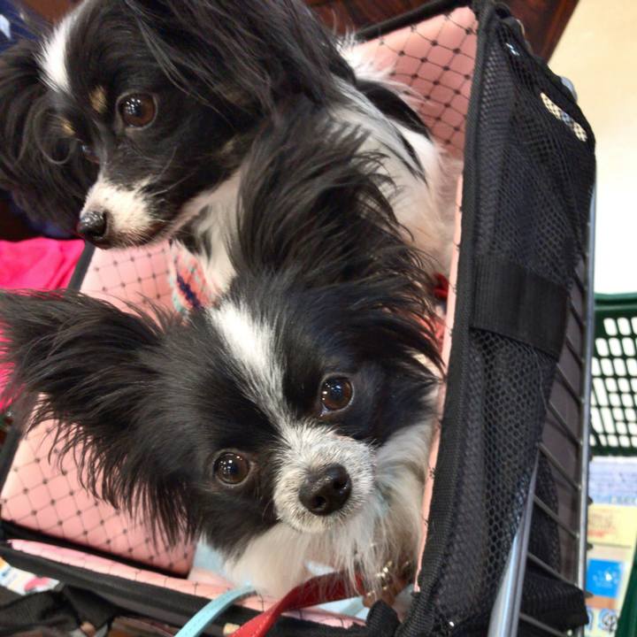 4283e269 d2b7 4fb2 8c09 93ea189c4e34 1512701299289