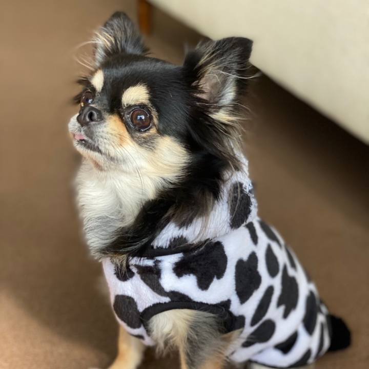 4283f7da b65f 4844 8bde 276903c9246c 1604972621143