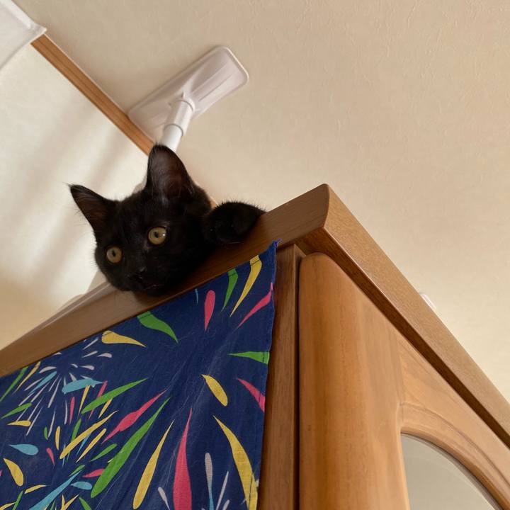 4283f868 fde2 4b36 b3e6 41b950a0fea0 1638497114841