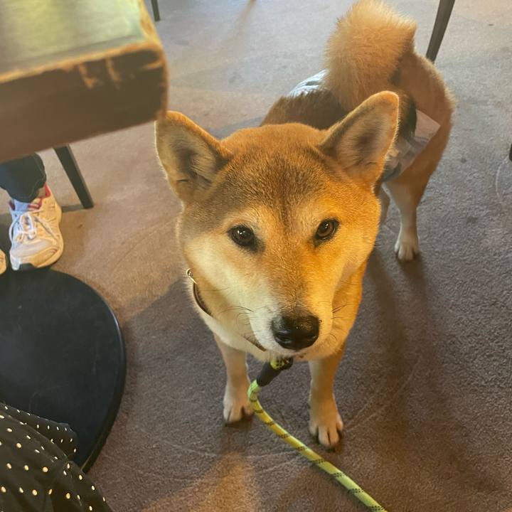 42841213 09f8 4e25 9a7c 71041253dd00 1766169442816