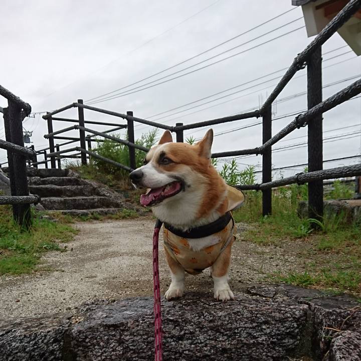 428430f6 8890 45e0 8dc0 b661d7f43f6a 1625275694731