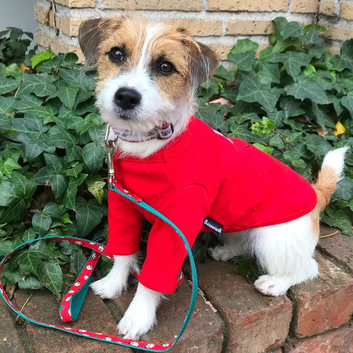 428462ca 2300 4a21 acab 996f769361ea 1766756697221